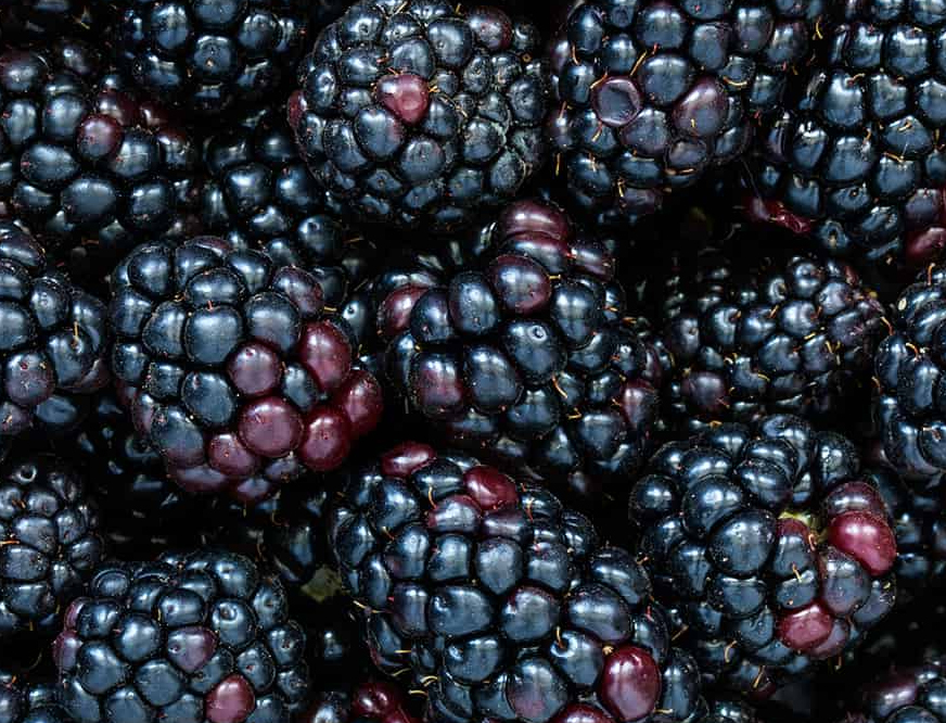 Blackberries