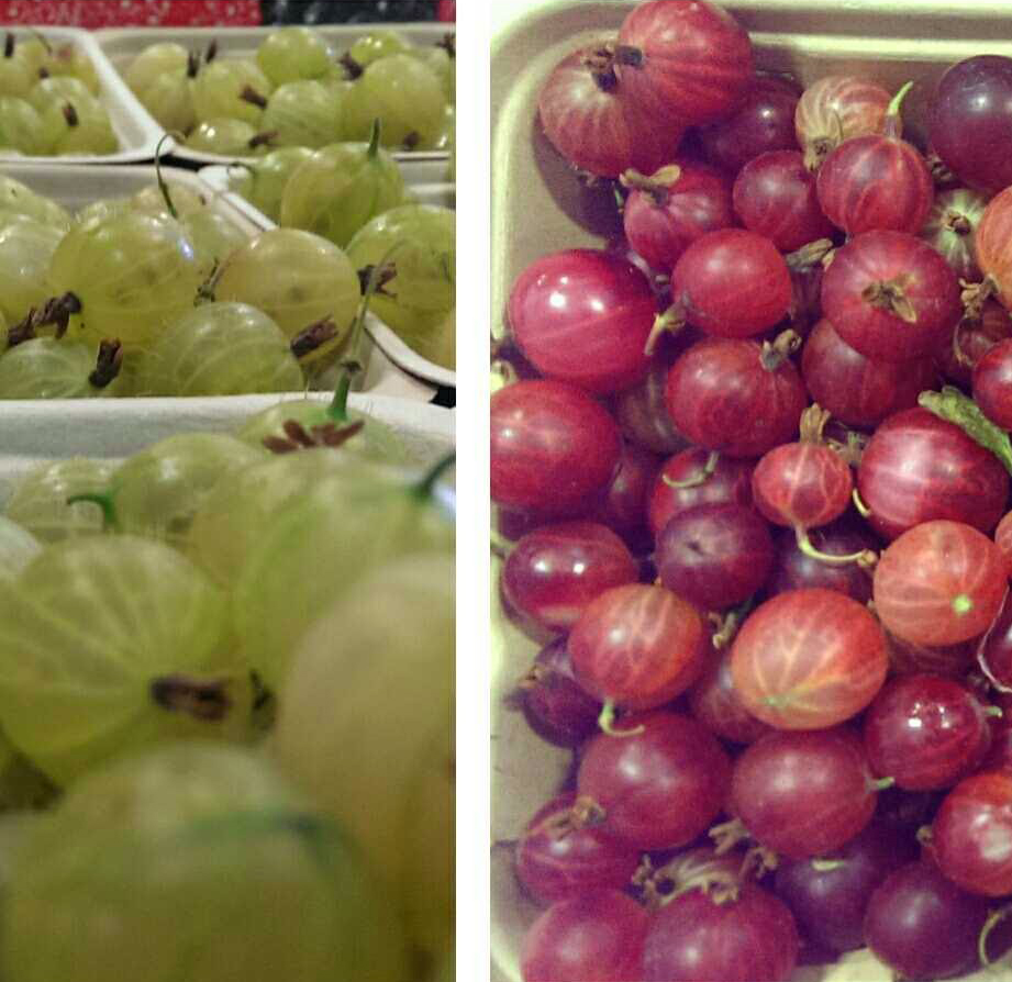Gooseberries