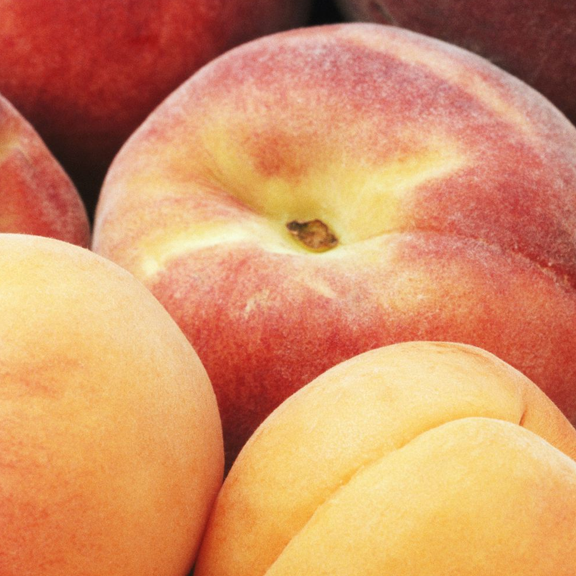 Fresh BC freestone peaches and apricots