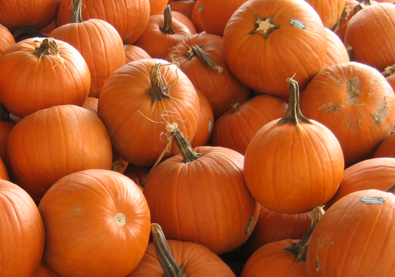 Pumpkins *