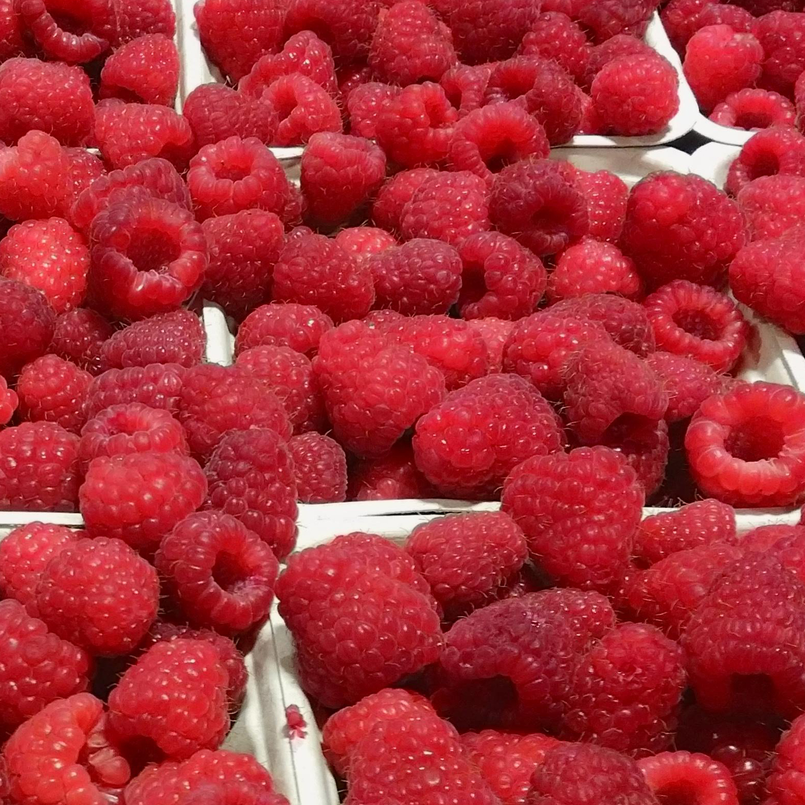 Raspberries